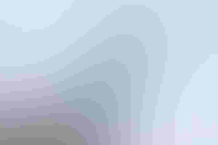 Juvenile. Photo: Pat Grannan/Flickr (CC BY NC ND 2.0)