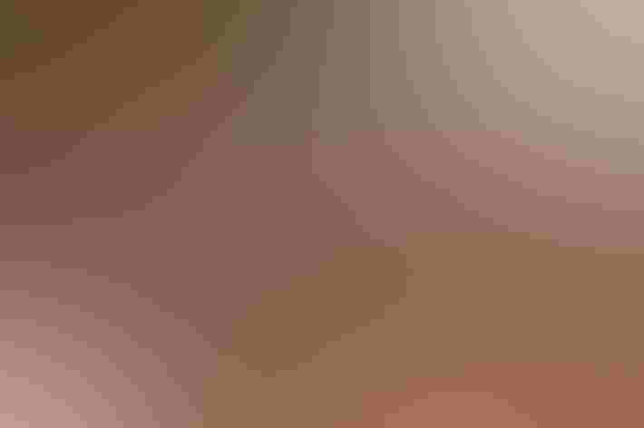 Adults. Photo: Chany Crystal/Flickr (CC BY ND 2.0)