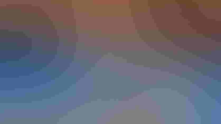 Adults. Photo: serena_tang/Flickr (CC BY NC ND 2.0)