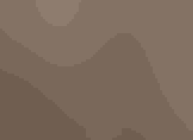 Female or immature. Photo: Marcel Holyoak/Flickr (CC BY NC ND 2.0)