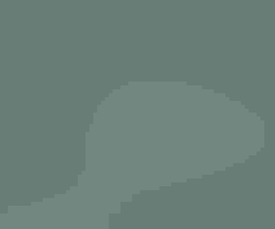 Breeding adults. Photo: Big Dipper 2/Flickr (CC BY-NC-ND 2.0)