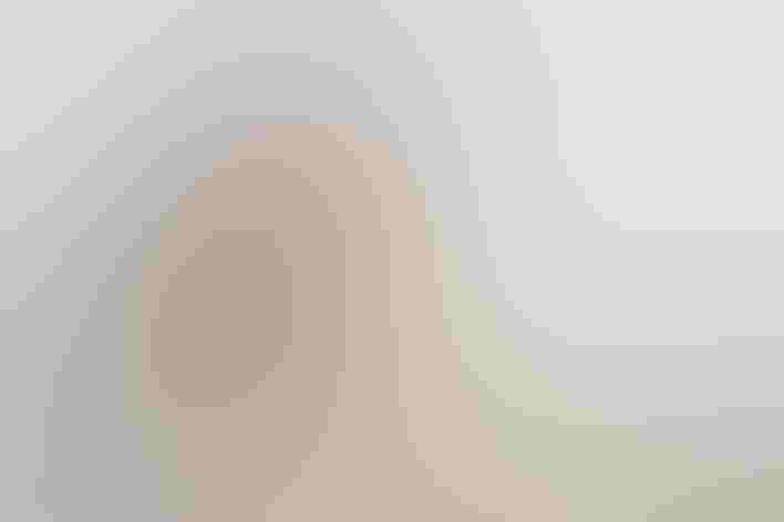 Female. Foto: Eugene Lim/Flickr (CC BY 2.0)