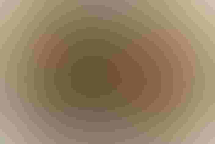 Female. Foto: Martha de Jong-Lantink/Flickr  (CC BY-NC-ND 2.0)