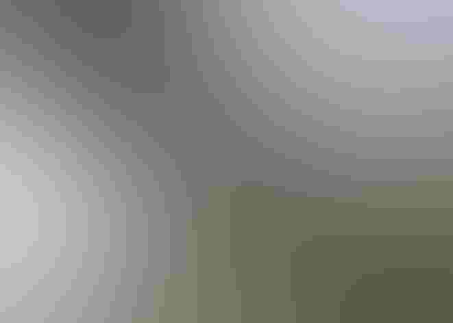 Adult. Photo: Carla Kishinami/Flickr (CC BY-NC-ND 2.0)