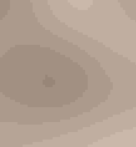 Cackling Goose and Canada Goose, adults. Photo: Paul Hurtado/Flickr (CC BY-SA 2.0)