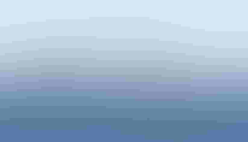 Canada Geese and Cackling Goose, adults. Photo: Always a birder!/Flickr (CC BY 2.0)