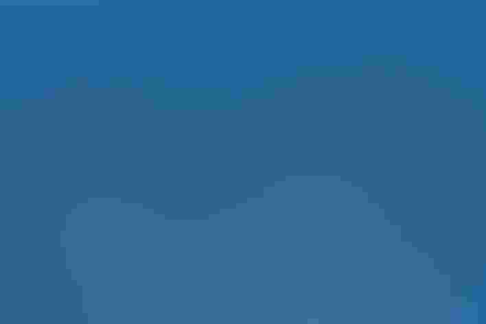 Adults. Photo: Darlene Moore/Flickr (CC BY-NC-ND-2.0)