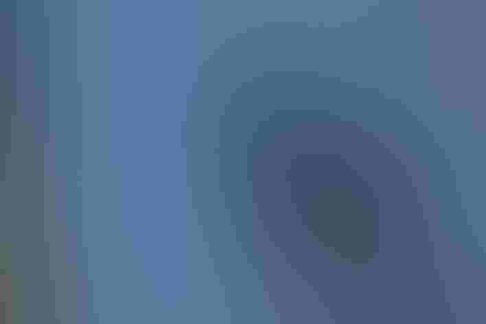 Adult. Photo: Henry T. McLin/Flickr (CC BY-NC-ND-2.0)