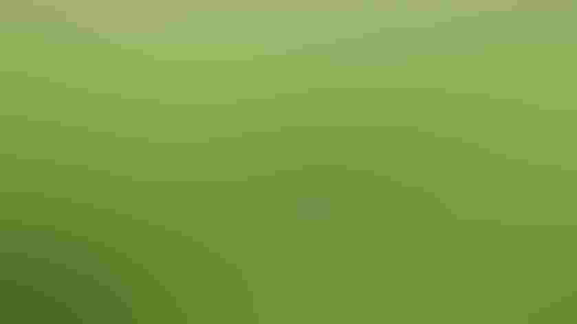 Adults. Photo: Jim Mullhaupt/Flickr (CC BY-NC-ND-2.0)