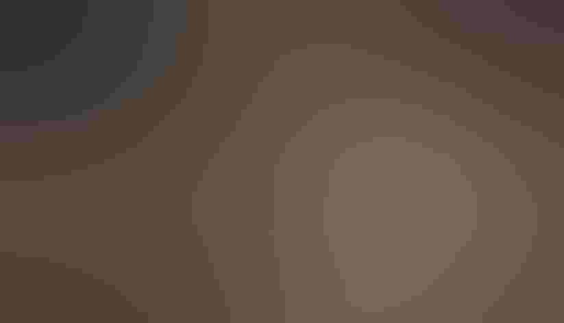 Adult male. Photo: Alan Huett/Flickr (CC BY SA 2.0)