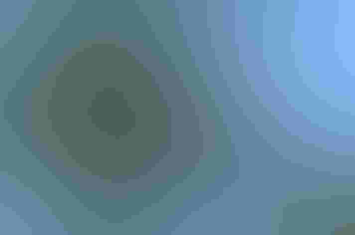 Adult male. Photo: David Larson/Flickr (CC BY-NC-ND-2.0)