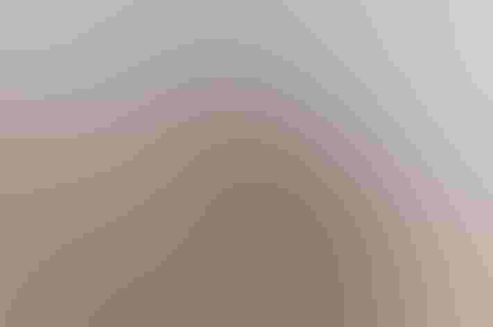 Adult. Photo: Mark Yokoyama/Flickr (CC BY NC ND 2.0)