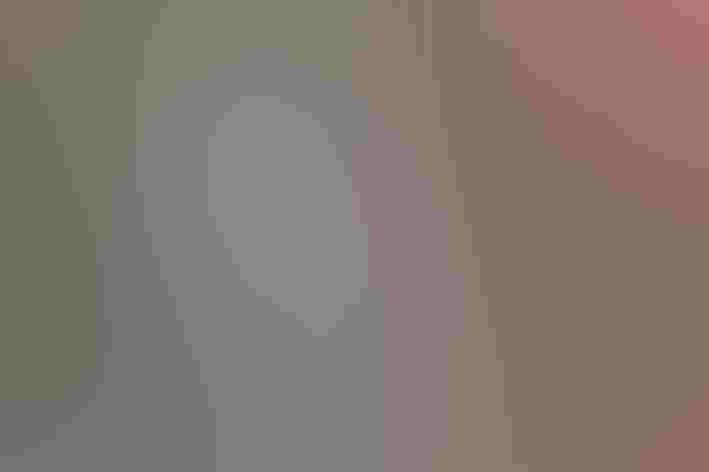 Adult. Photo: Jason Forbes/Flickr (CC BY NC ND 2.0)