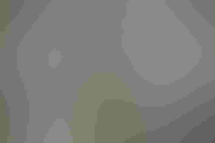 Adult. Photo: Tom Reichert/³Ô¹ÏºÚÁÏ Photography Awa