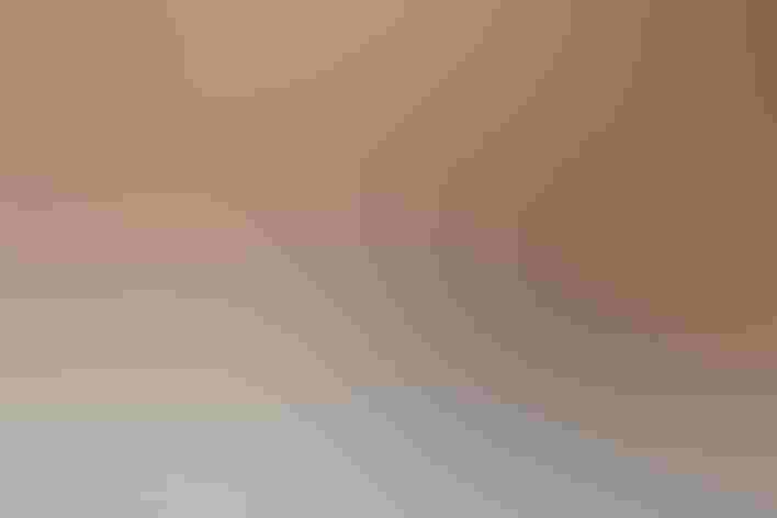 Adult (Red form). Photo: Brian Kushner/Flickr