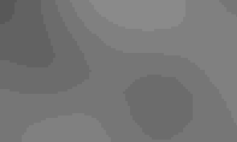 Adults. Foto: jmaughn/Flickr (CC BY NC 2.0)