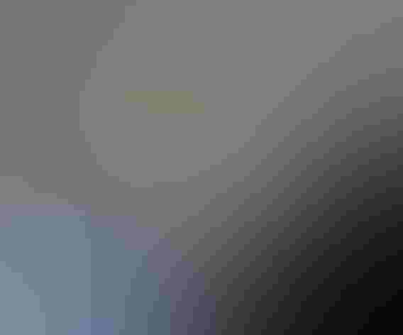 Adult male. Foto: Tom Benson/Flickr (CC BY-NC-ND-2.0)