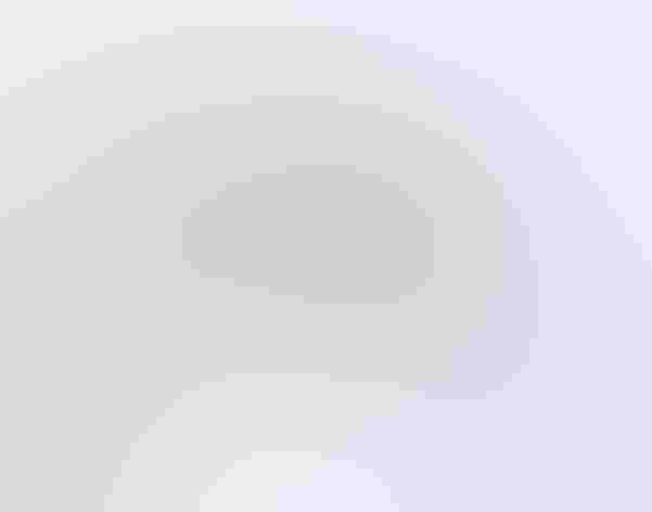 Adult. Photo: Tom Wilberding/Flickr (CC BY-NC-ND 2.0)