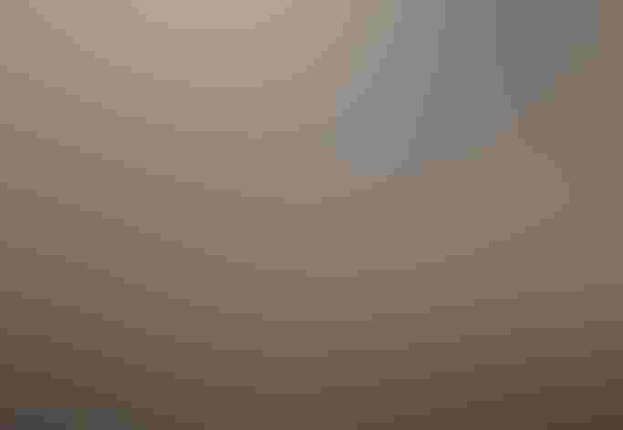 Adults. Photo: Alan Harper/Flickr (CC BY-NC-2.0)