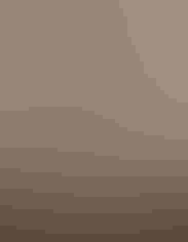 Adults. Photo: Alan Harper/Flickr (CC BY-NC-2.0)