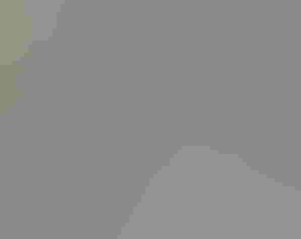 Adult Photo: Alan Schmierer/Flickr (CC Public Domain)