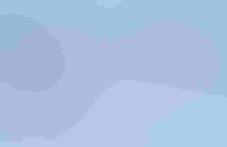 Males. Photo: Andy Wraithmell/Flickr (CC BY-NC-ND 2.0)