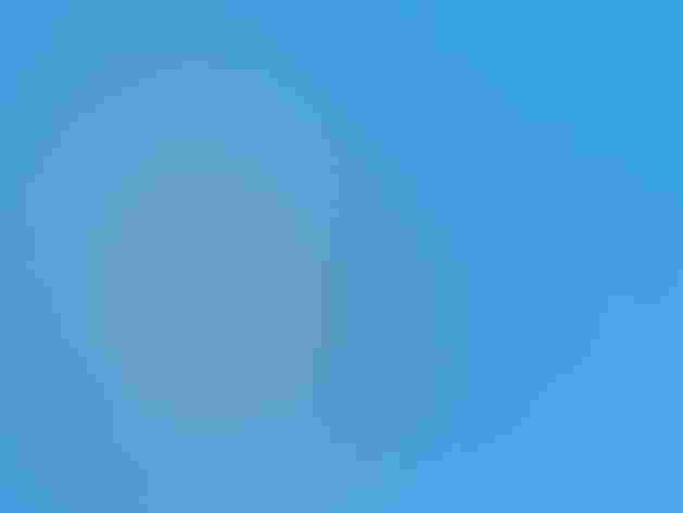 Breeding adult male. Photo: Brian Kushner