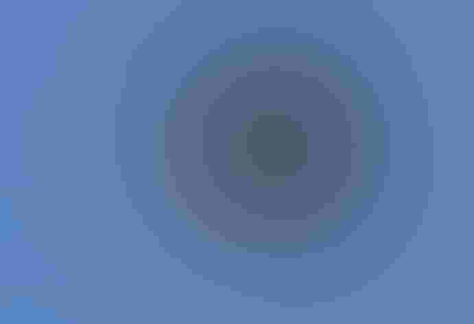 Adult. Photo: Tom Benson/Flickr (CC BY-NC-ND-2.0)