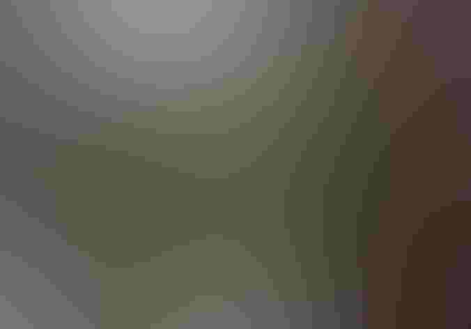 Adult female. Photo: Andy Reago and Chrissy McClarren/Flickr (CC BY-2.0)