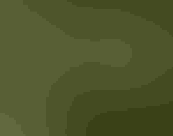 Immature. Photo: Andy Reago and Chrissy McClarren/Flickr (CC BY-2.0)