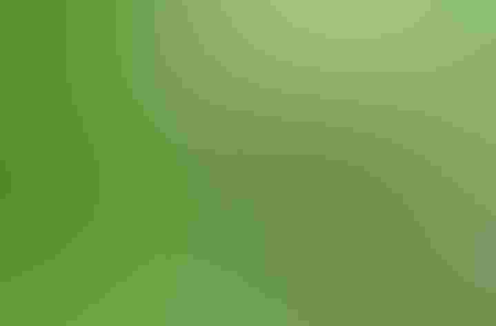 Adult female. Photo: Andy Reago and Chrissy McClarren/Flickr (CC-BY-2.0)