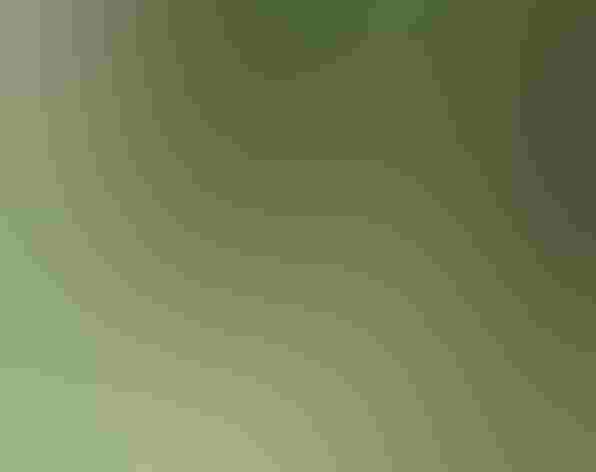 Adult male. Photo: Andy Reago and Chrissy McClarren/Flickr (CC-BY-2.0)