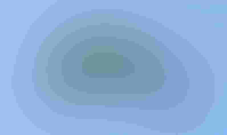 Adults. Photo: Susan Young/Flickr (CC-Public-Domain)