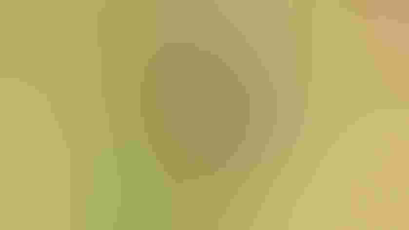 Adult (interior form). Photo: Andy Reago and Chrissy McClarren/Flickr (CC-BY-2.0)