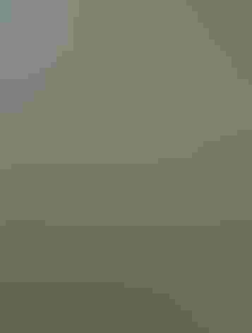 Adult. Photo: Alan Schmeirer/Flickr (CC-Public-Domain)