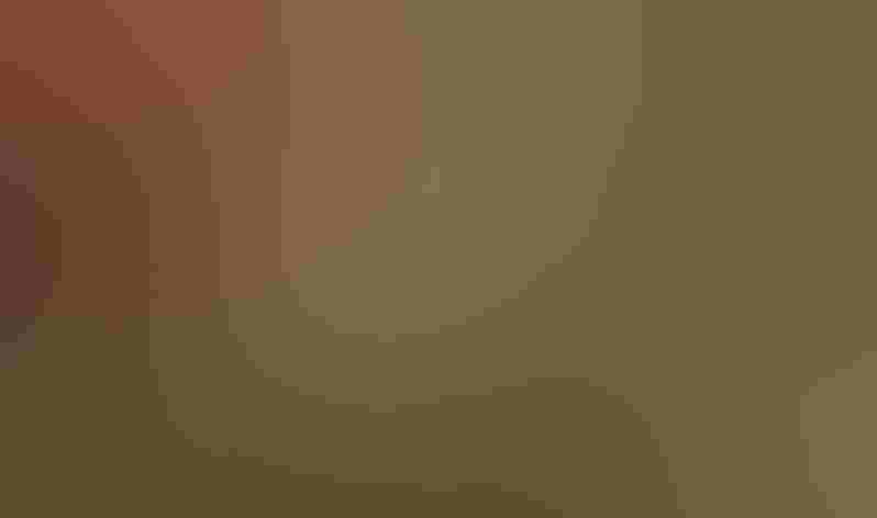 Non-breeding adult. Photo: DaveInman/Flickr (CC-BY-NC-ND-2.0)