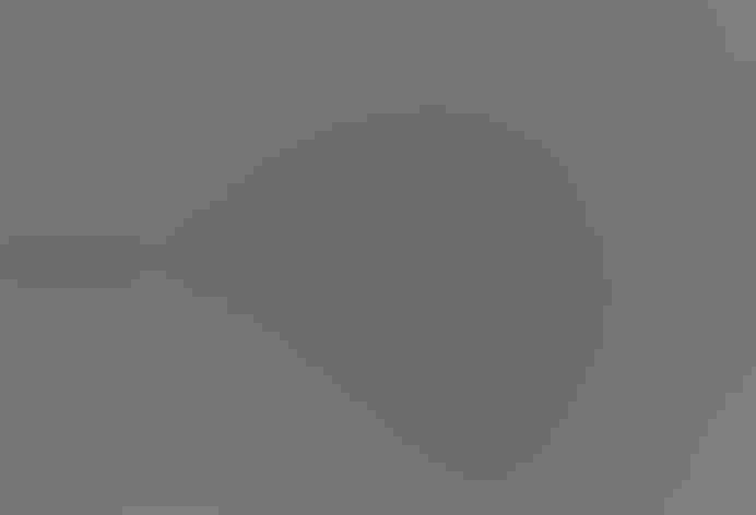 Molting adult. Photo: Derek Keats/Flickr (CC-BY-2.0)