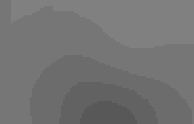 Molting adult. Photo: Derek Keats/Flickr (CC-BY-2.0)