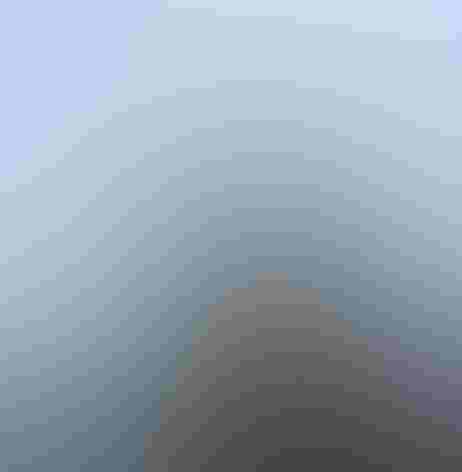 Adult. Photo: Alan Harper/Flickr (CC BY NC 2.0)