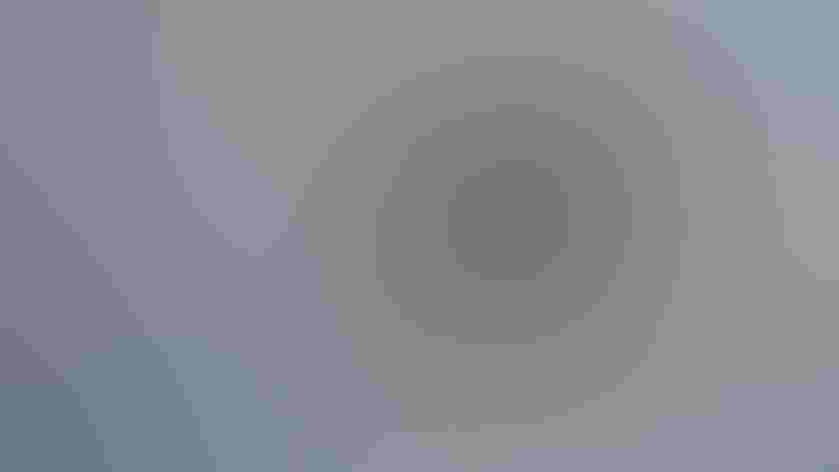 Adult. Photo: Kuhnmi/Flickr (CC BY 2.0)