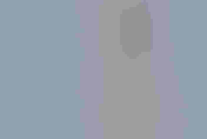 Juvenile. Foto: Laurie Boyle/Flickr (CC BY SA 2.0)