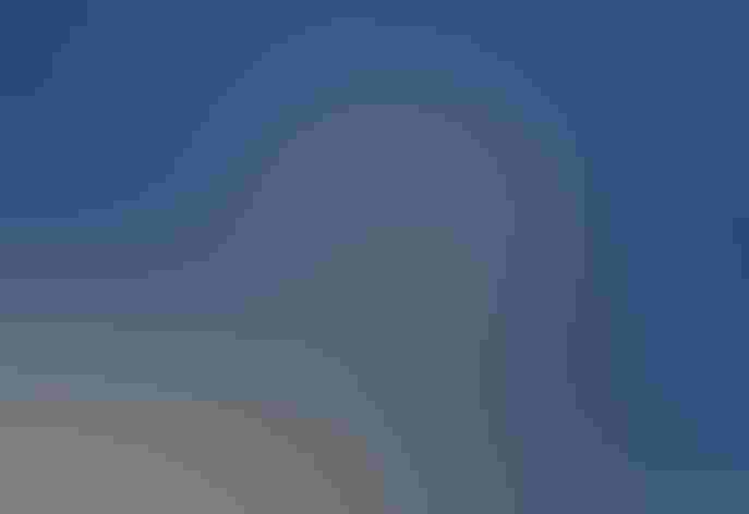 Juvenile. Foto: Agami Photo Agency/Shutterstock