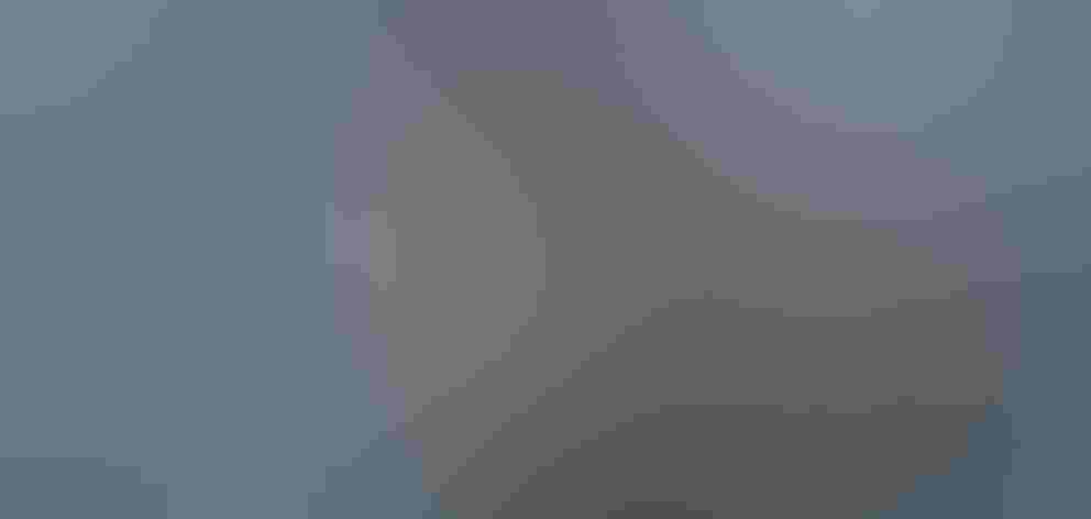 Non-breeding adult. Photo: Gary Leavens/Flickr (CC-BY-SA-2.0)