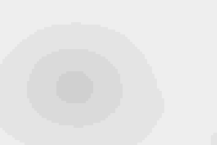 Breeding adults. Photo: Mick Thompson/Flickr (CC-BY-NC-2.0)