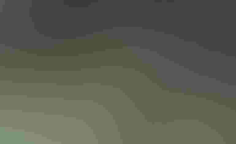 Adult female. Photo: Andy Reago and Chrissy McClarren/Flickr (CC BY 2.0)