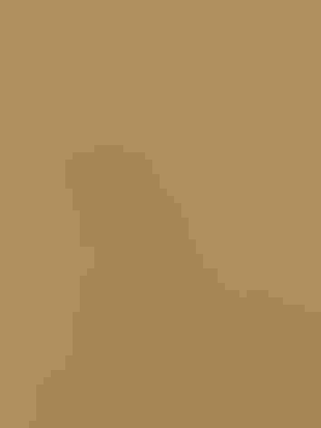 Adult. Photo: Kenneth Cole Schneider/Flickr (CC BY NC ND 2.0)