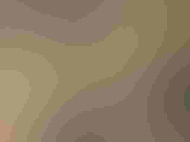 Adult. Photo: Stephen Lester/Flickr (CC0 1.0)