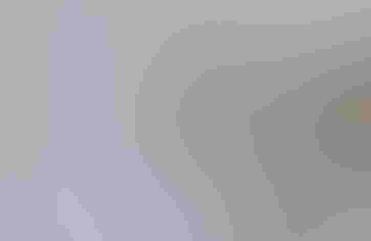 Adult (Ipswich form). Photo: Dominic Sherony/Flickr (CC BY SA 2.0)