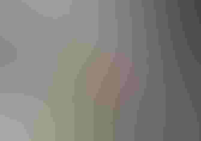 Adult. Photo: Renee Grayson/Flickr (CC BY 2.0)