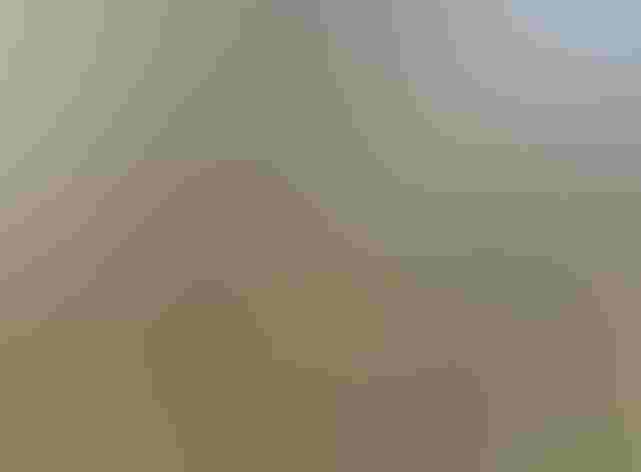 Adult. Photo: Andy Reago and Chrissy McClarren/Flickr (CC BY 2.0)